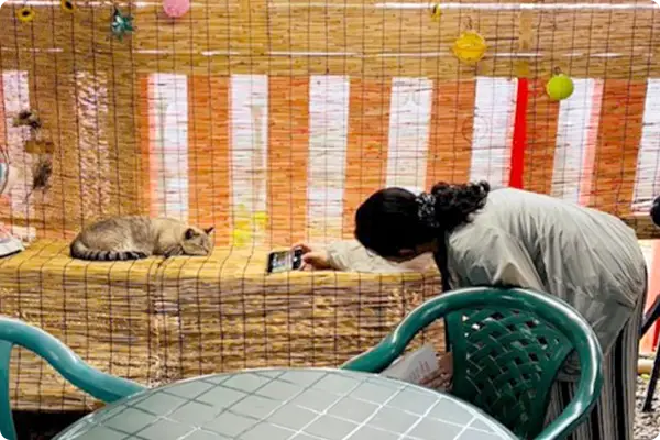 職場の魅力